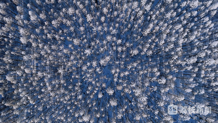 非遗有新人丨李永明:一块桦树皮上的部落史诗传奇